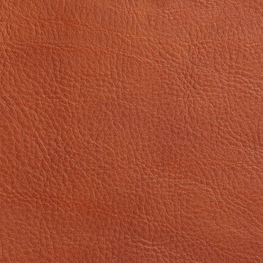 Saddlebag