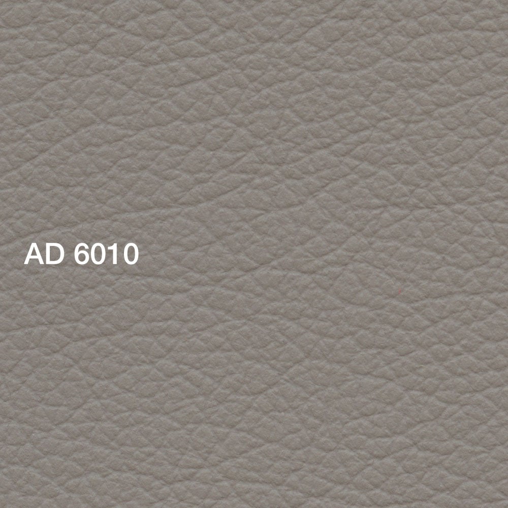 AD 6010 Santa Cruz