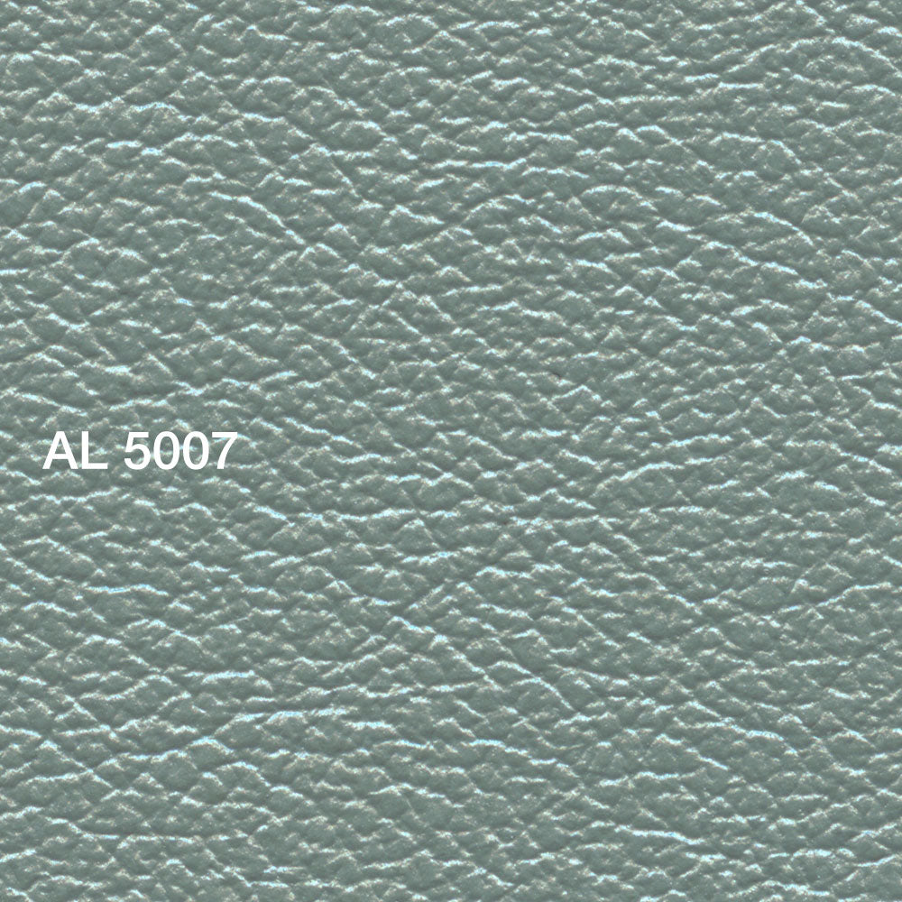 AL 5007 Iceberg