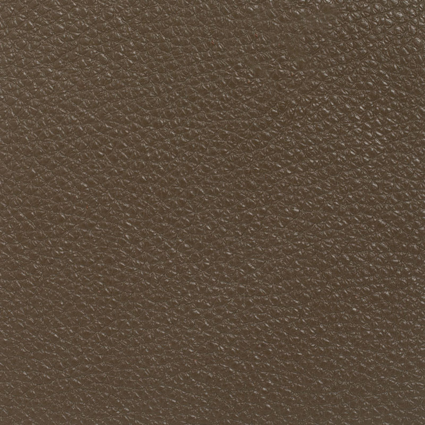Bog