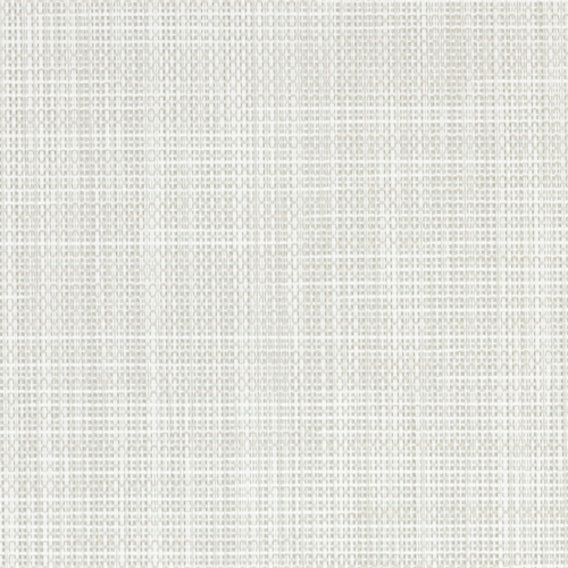 Moti Pearl