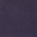Deep Plum