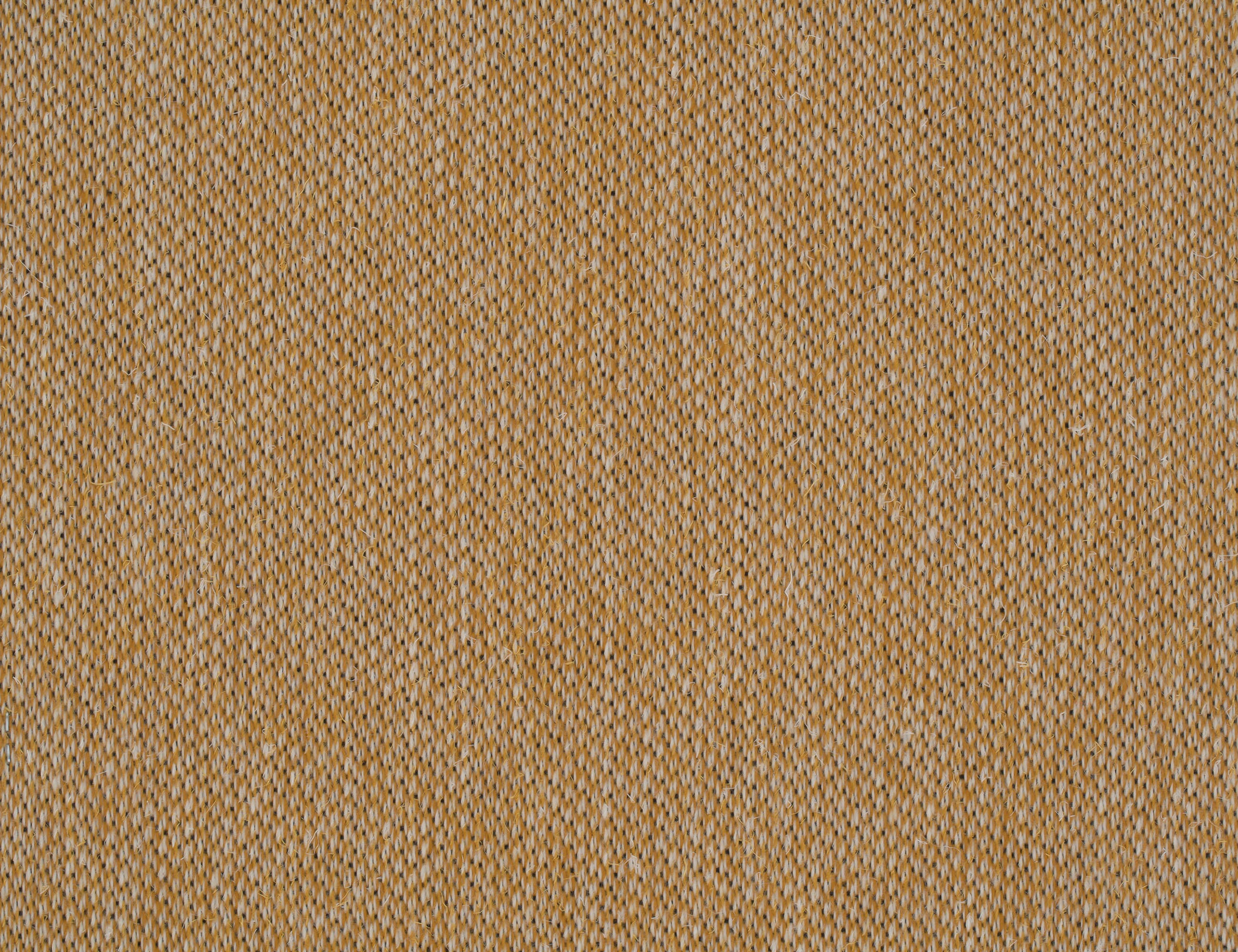 Gul