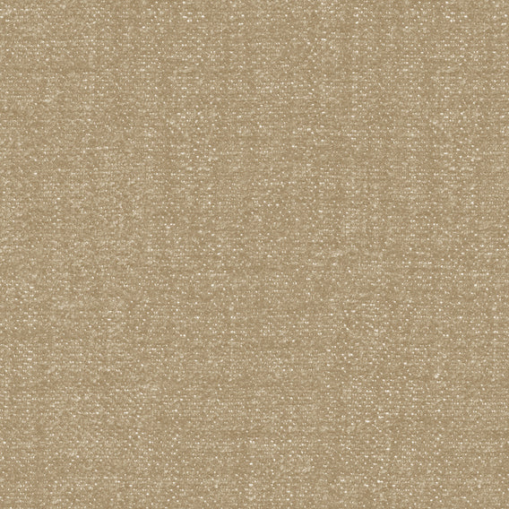 Papyrus