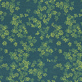 Rainforest