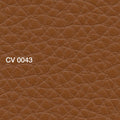 CV 0043 Aveto